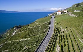 Domaine Du Burignon
